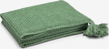 TOM TAILOR Blankets in Green