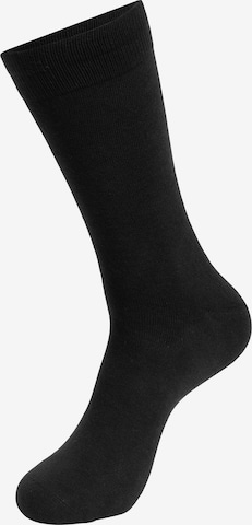 INDICODE JEANS Socken 'Bethwin' in Mischfarben