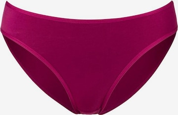 Slip di PETITE FLEUR in colori misti