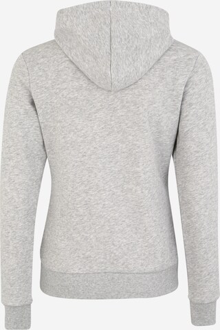 PUMA Sportsweatshirt in Grau: zadná strana