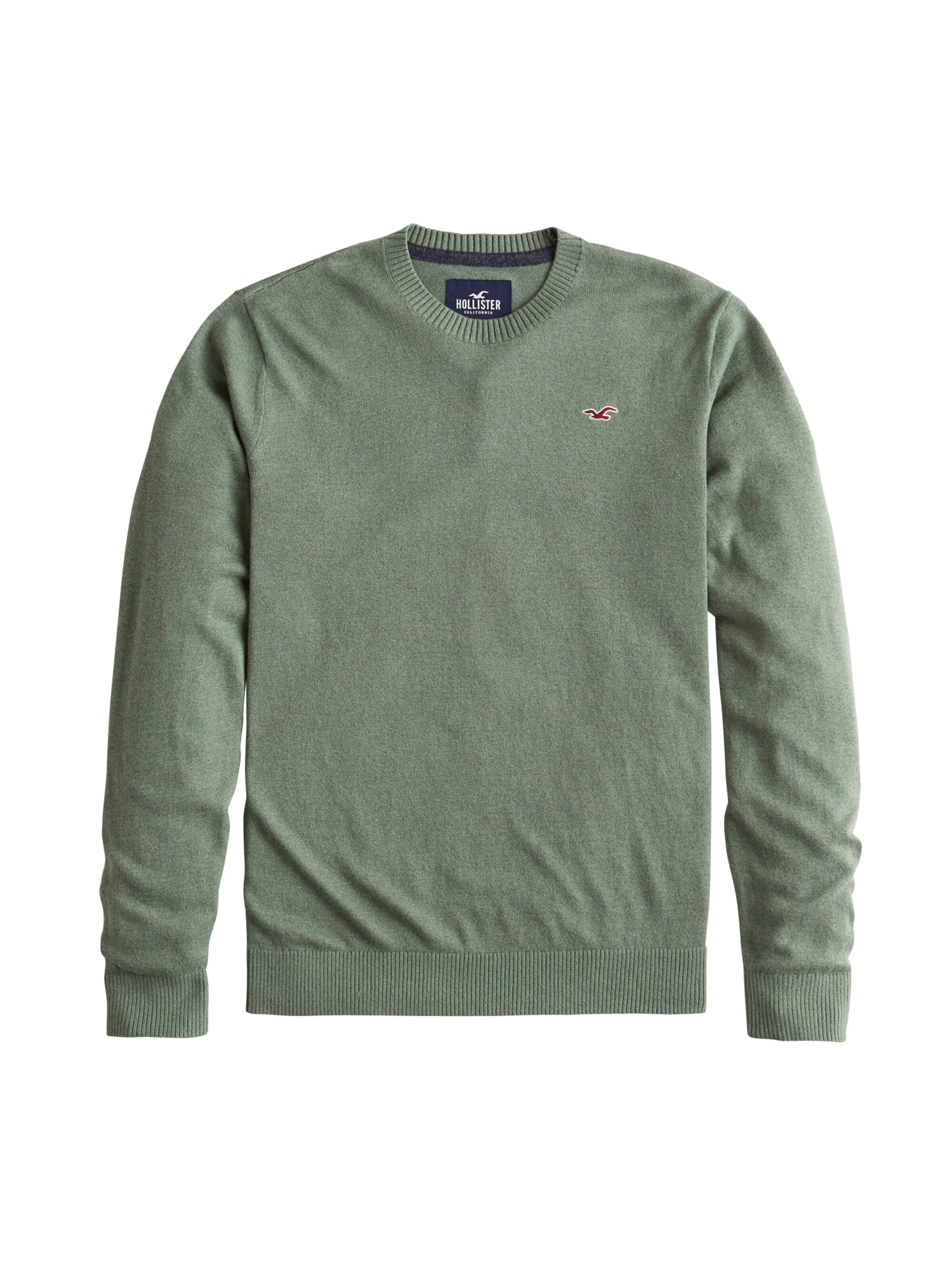 HOLLISTER - Trui 'BTS19-FG CORE CREW INT'L 1CC' in de kleur Groen