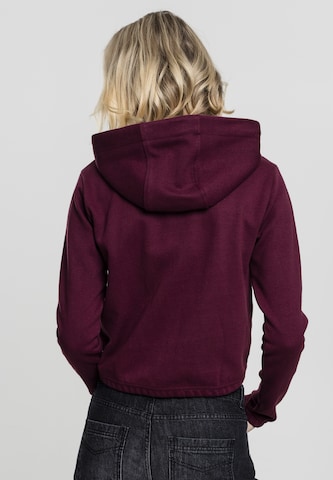 Urban Classics Sweatshirt in Lila