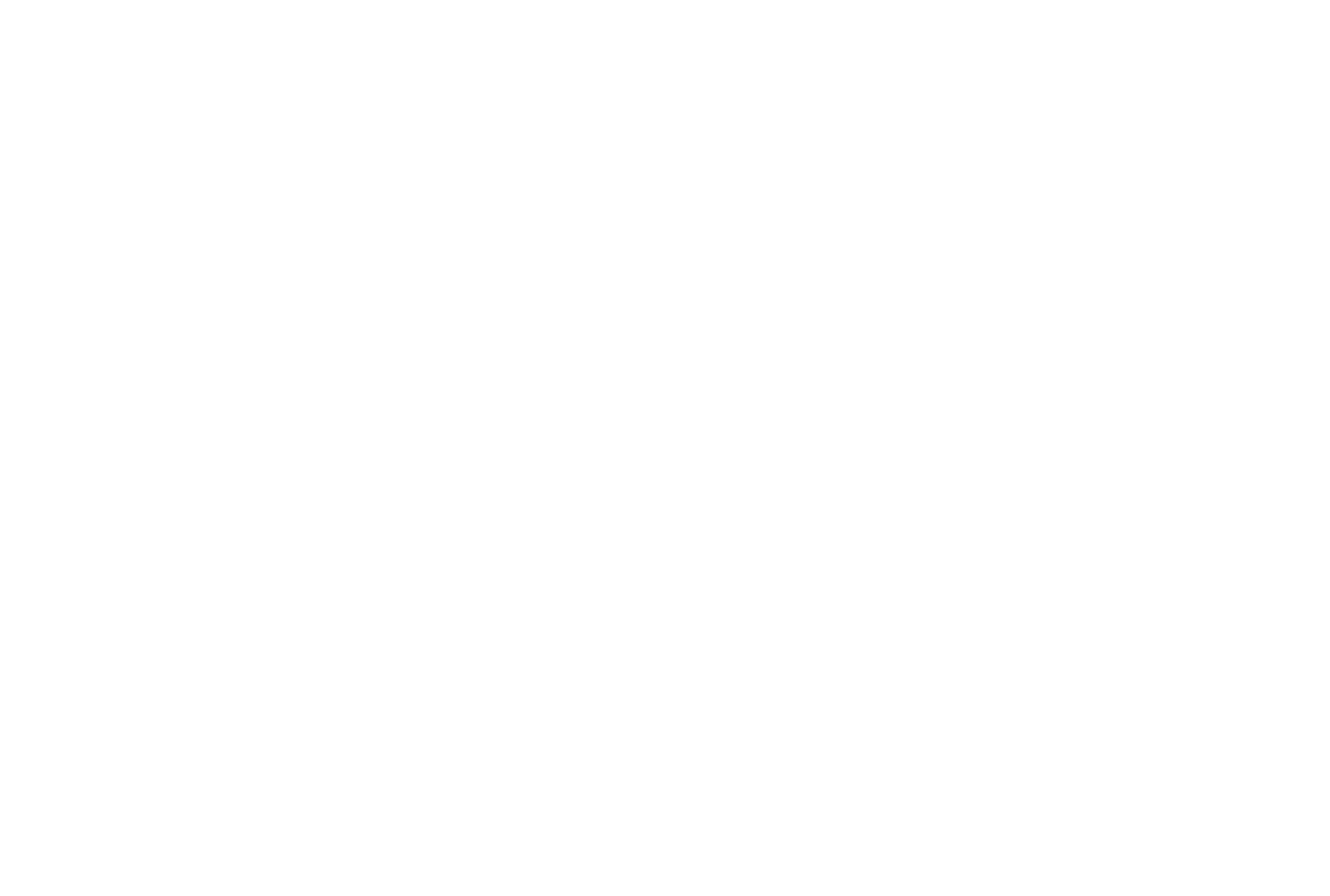 Puma Logo