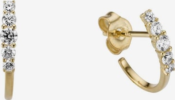 FIRETTI Ohrstecker in Gold: front