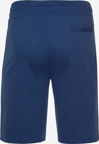 BRUNO BANANI Regular Pants in Blue