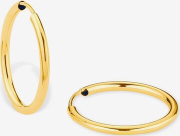 AMOR Earrings '2013894' in Gold: front
