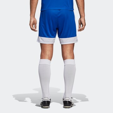 ADIDAS PERFORMANCE Regular Shorts 'Tastigo 19' in Blau