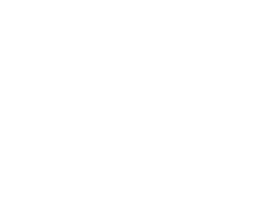 DC Shoes Logo