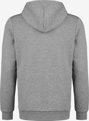 PUMA Sweatshirt 'Team Goal 23' in Grey