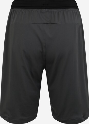 ADIDAS PERFORMANCE Regular Shorts in Grau: zadná strana