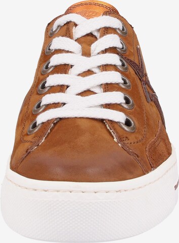 Paul Green Sneakers laag in Bruin