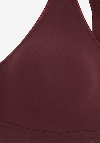 regular Reggiseno di PETITE FLEUR in rosso