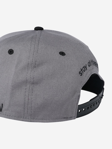 Iriedaily Keps 'Daily Flag 20 Snapback' i grå