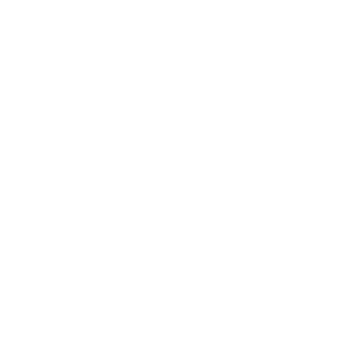 RoamLikeSummer Logo