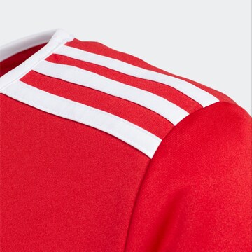 Maglia funzionale 'Entrada 18' di ADIDAS PERFORMANCE in rosso