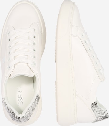 ESPRIT Sneakers laag 'Blanes' in Wit