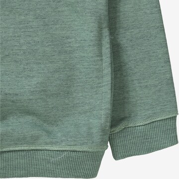 Reebok Sweatshirt in Grün