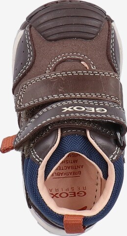 GEOX Sneakers in Brown