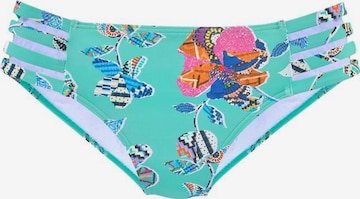 SUNSEEKER Bikini Bottoms in Blue: front