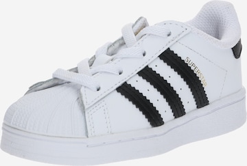 Baskets 'Superstar' ADIDAS ORIGINALS en blanc : devant