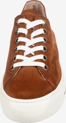 Paul Green Sneakers in Brown