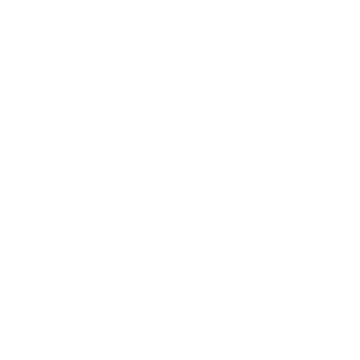 Rieker EVOLUTION Logo