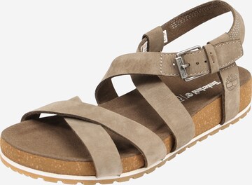 TIMBERLAND Sandalen met riem 'Malibu Waves' in Bruin: voorkant