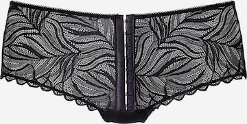 PETITE FLEUR GOLD Panty in Schwarz: predná strana