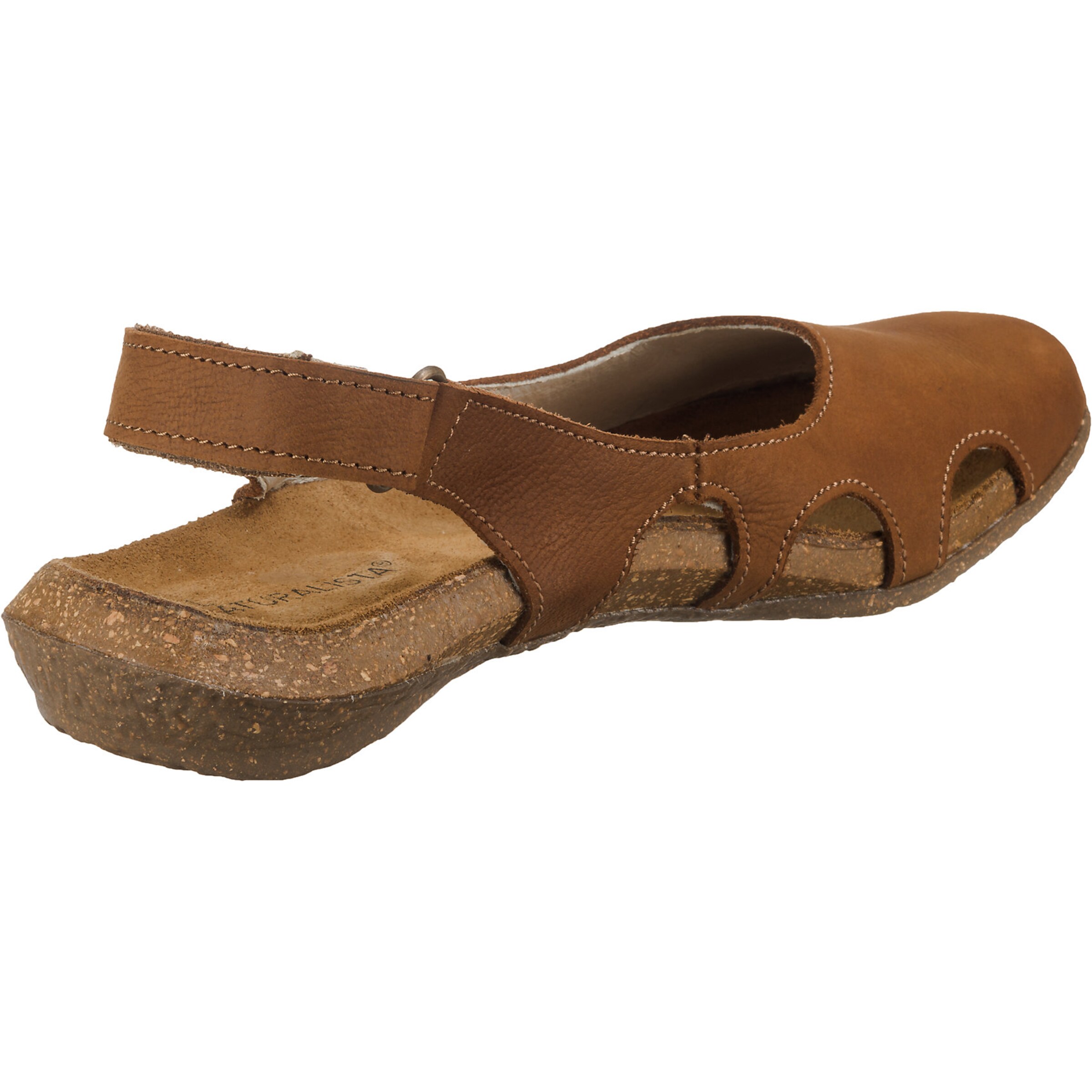 EL NATURALISTA Ballerina 'Wakataua' in Bruin