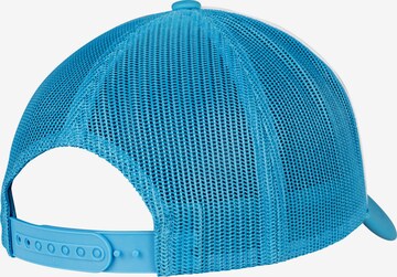 Flexfit Pet in Blauw