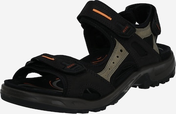 ECCO Trekkingsandal 'Offroad' i svart: framsida