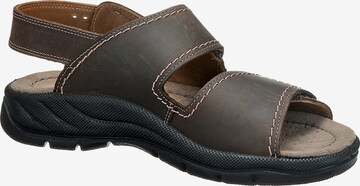 JOMOS Sandals 'Activa' in Brown