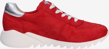 Paul Green Sneakers in Rot