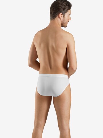 Hanro Panty ' Micro Touch ' in White: front
