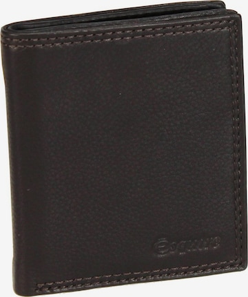 Esquire Wallet 'Duo' in Brown: front
