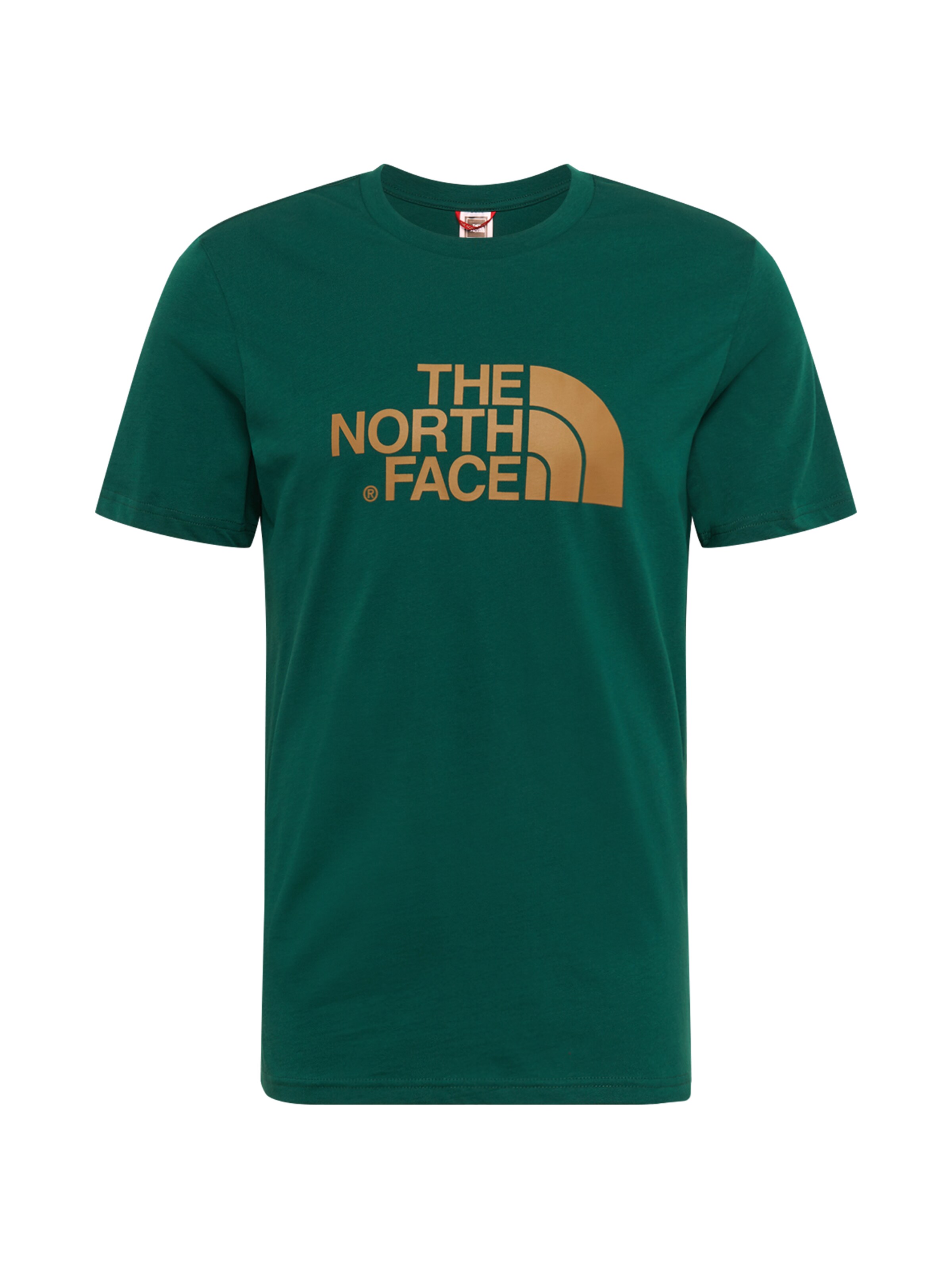 THE NORTH FACE - Shirt 'Easy' in de kleur Goud