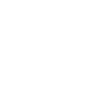 11 Degrees Logo