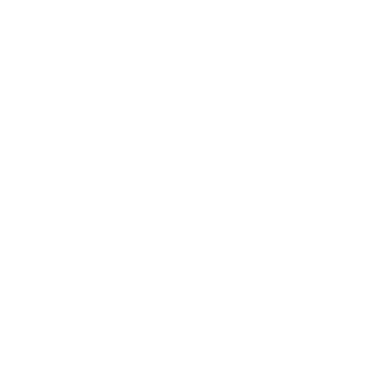 Proviz Logo