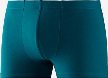 BENCH Boxershorts in Blau