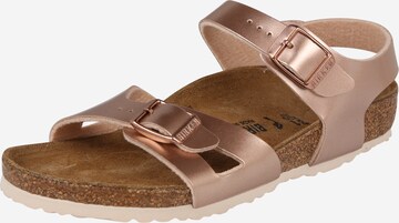 BIRKENSTOCK Sandalen 'Rio' in Goud: voorkant