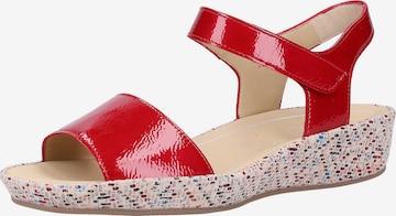 ARA Sandals in Red: front