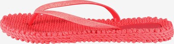 ILSE JACOBSEN Teenslipper 'Cheerful 01' in Rood