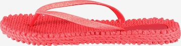 Tongs 'Cheerful 01' ILSE JACOBSEN en rouge