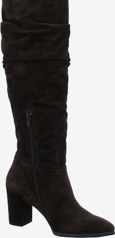 Paul Green Boots in Brown