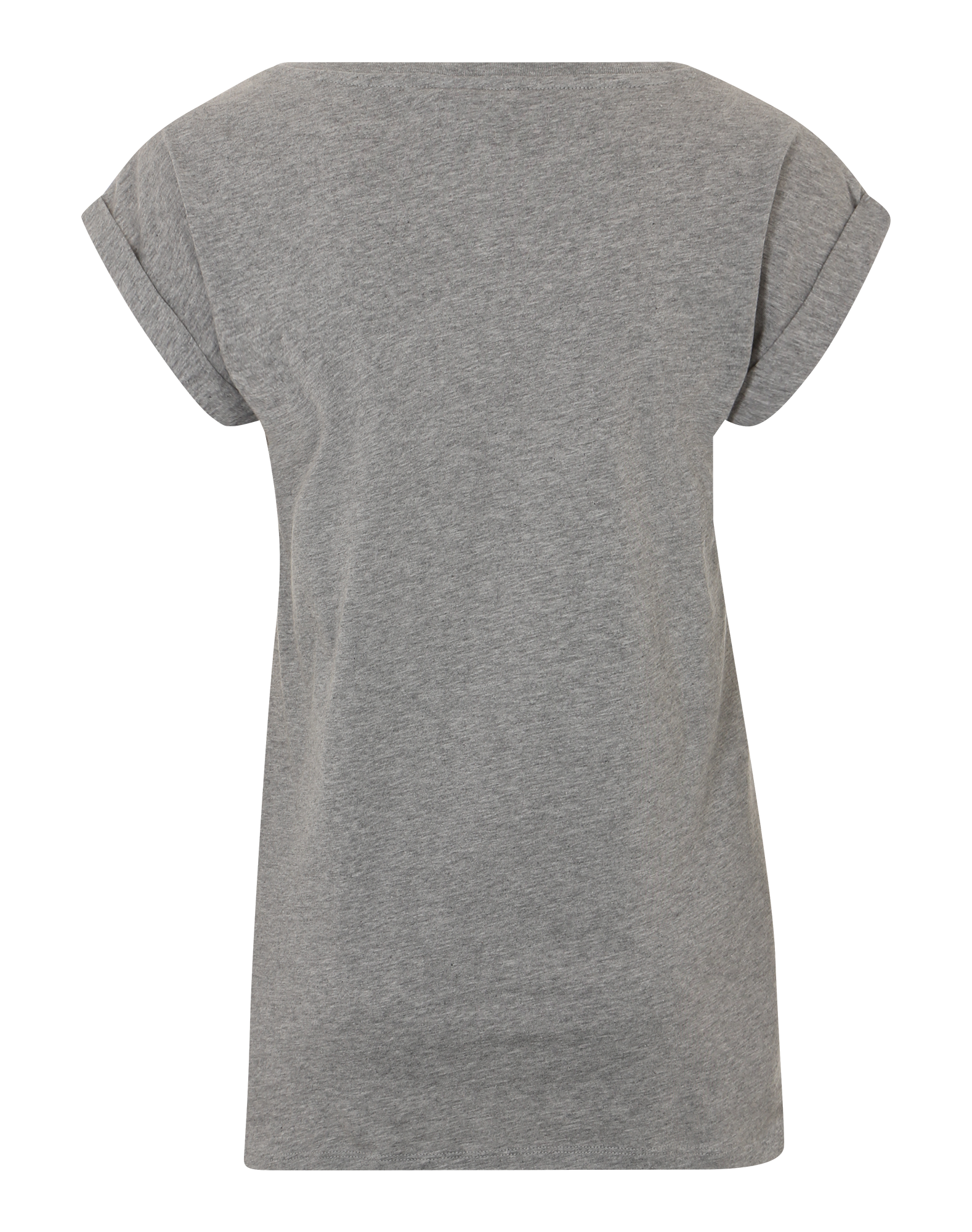 Iriedaily T-Shirt It Hasi in Grau 