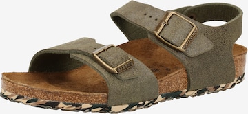 BIRKENSTOCK Sandalen in Groen: voorkant