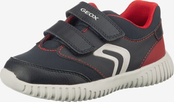 GEOX Sneakers low in Blau: front