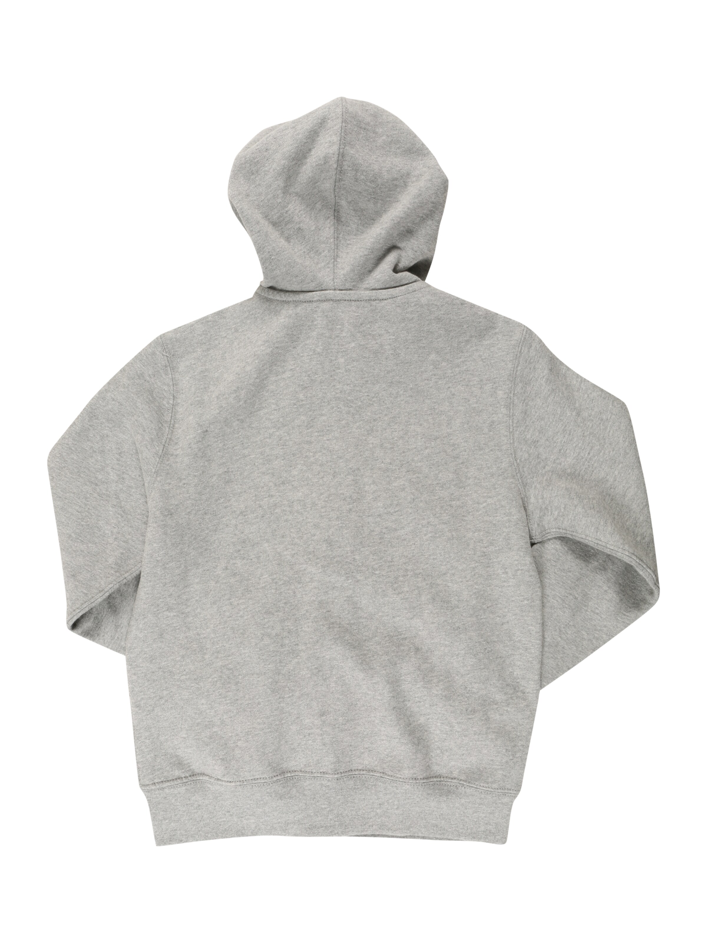 Giacca di felpa di Polo Ralph Lauren in grigio: dietro