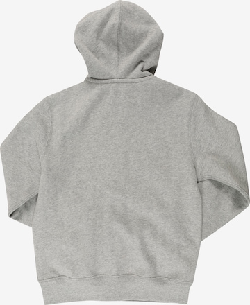 Polo Ralph Lauren Zip-Up Hoodie in Grey: back