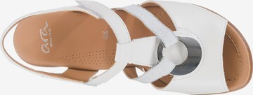 ARA Strap Sandals 'Lugano' in White